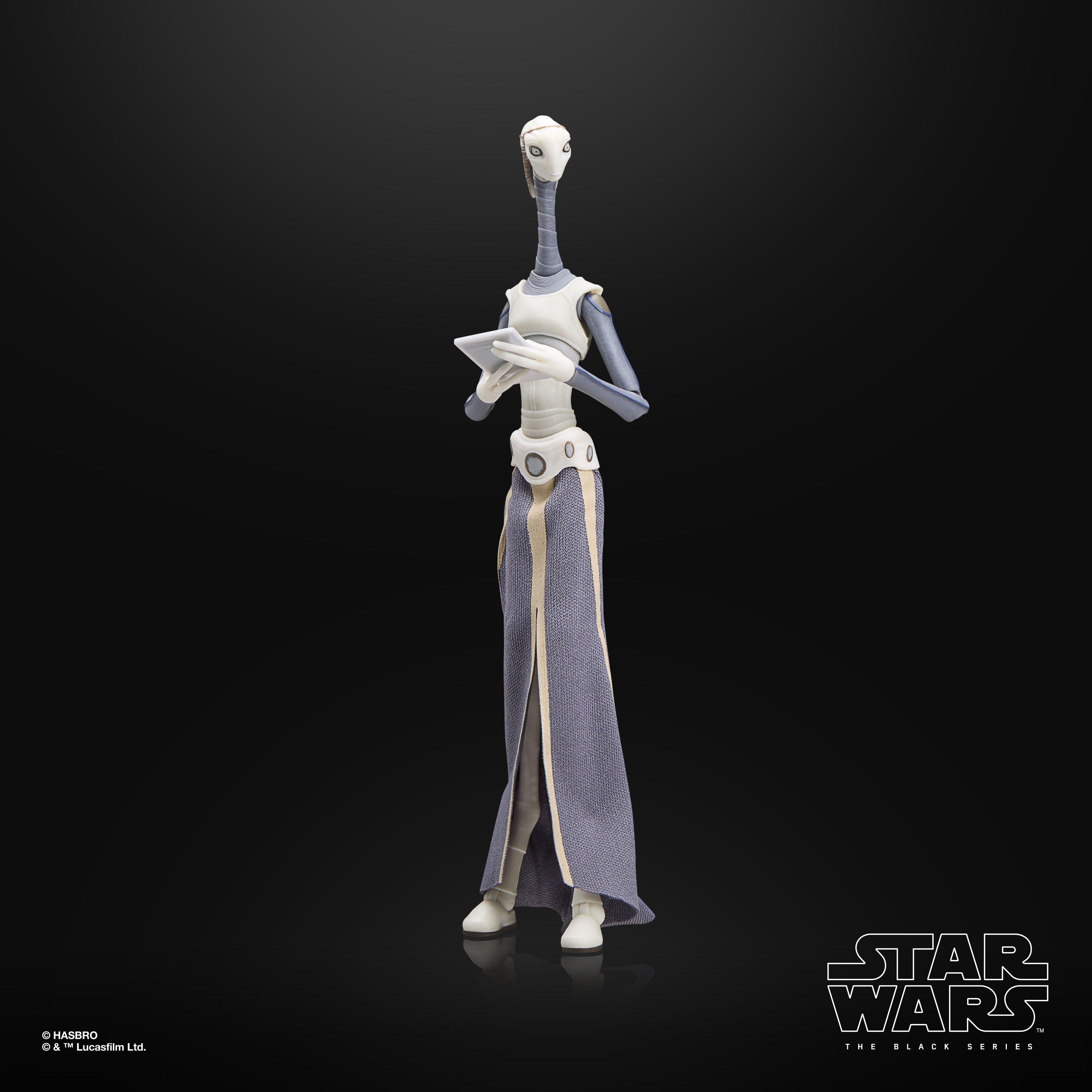 Star Wars The Black Series Taun We